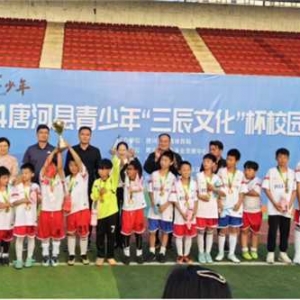 唐河县第一小学在2024唐河县青少年“三辰文化”杯校园足球联赛中勇夺冠军