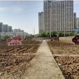 驻马店市第十二初级中学劳动教育实践基地成功建成