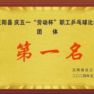 乒乓有形 快乐无限——正阳县庆五一“劳动杯”职工乒乓球比赛在正阳县第一实验学校体育馆顺利举行