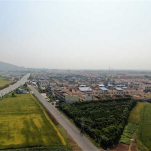 内乡县师岗镇：以“党建+”推动人居环境展新颜