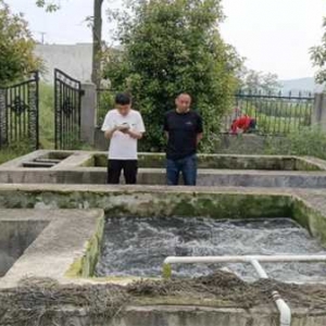 南阳市生态环境局淅川分局 发起农村生活污水治理夏季攻势
