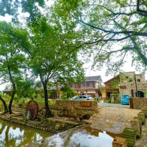 醉美茶乡 约你来见 ——来信阳市浉河区感受诗和远方