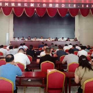 方城县拐河镇：以林长制为抓手，助力乡村振兴