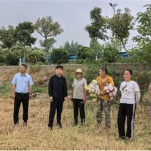 桐柏县程湾镇：发挥代表作用 助力“三夏生产”