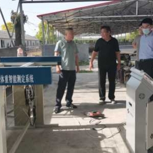 强化助企帮扶 助力肉羊种业新质生产力培育