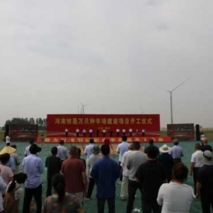 1家万只种羊场在漯河舞阳开工建设