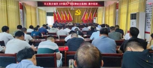 唐河县东王集乡：党委书记讲党课——集中学习《中国共产党纪律处分条例》