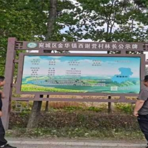 南阳市宛城区林长办到金华镇调研督导林长制工作