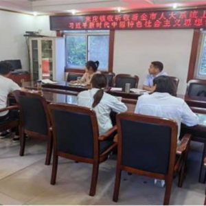 桐柏县朱庄镇：收听收看南阳市人大系统习近平新时代中国特色社会主义思想学习交流会