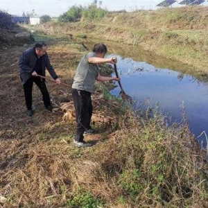 方城县博望镇： 一条热线治污染 民生问题不“打详”