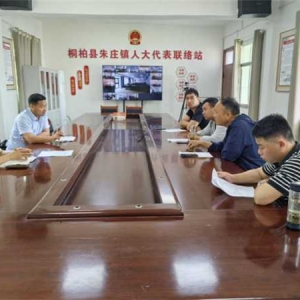 桐柏县朱庄镇人大召开座谈会