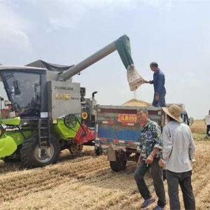 方城县博望镇： “多管干部”助麦收