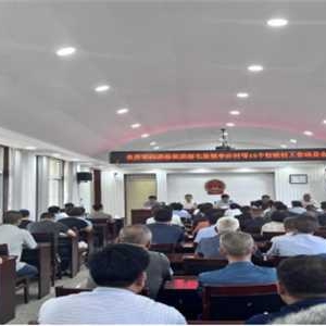 桐柏县毛集镇召开县委第四巡察组巡察毛集镇李庄村等15个行政村工作动员会议