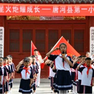 唐河县第一小学：红领巾爱祖国 同心筑梦庆“六一”