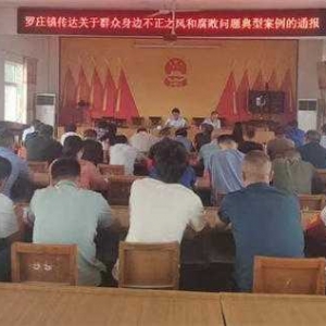 邓州市罗庄镇：持之以恒营造风清气正好生态