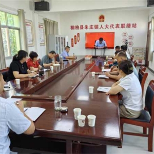 桐柏县朱庄镇参加县人大常委会主题活动推进会