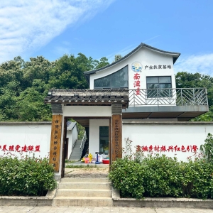 信阳市浉河区：小鱼苗“游”出大产业
