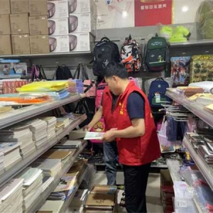桐柏县朱庄镇开展端午节前文化领域检查工作