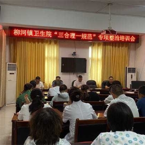 方城县柳河镇卫生院开展“三合理一规范及十八项核心制度”培训