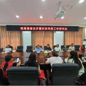 桐柏县程湾镇召开信访矛盾纠纷风险工作研判会