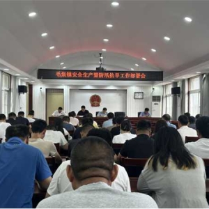 桐柏县毛集镇：抓紧抓实抓细安全生产各项工作 切实保障人民群众生命财产安全
