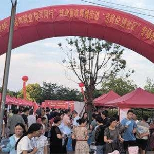 镇平县雪枫街道举办“送岗位进社区” 夜市招聘会