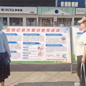 南阳市生态环境局淅川分局开展2024年“信用记录关爱日”主题宣传活动