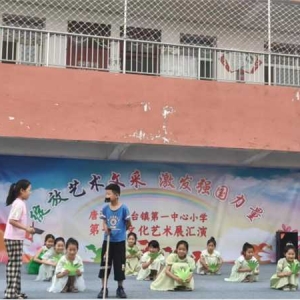 唐河县苍台镇一小：绽放艺术文采 激发强国力量