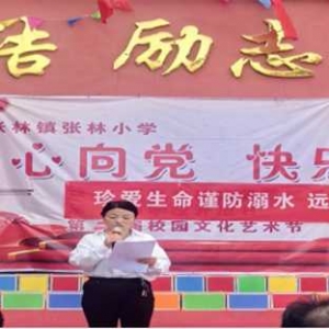 镇平县张林镇张林小学举办第二届学生综合素质教育成果展示活动