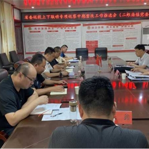 方城县二郎庙镇组织召开省委巡视上下联动专项巡察中期整改工作推进会