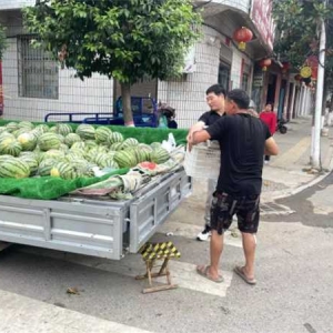 桐柏县朱庄镇开展集市规范经营整治活动