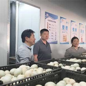 唐河县桐河乡：以人大高效履职助推营商环境持续优化