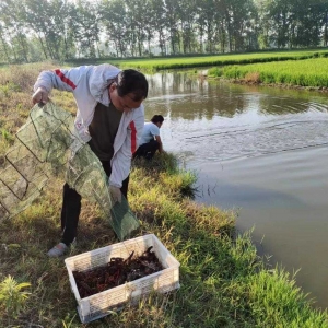 固始县：“多点开花”产业兴 乡村振兴动能足