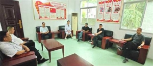 淅川县毛堂乡卫生院开展 庆“七一”党日活动