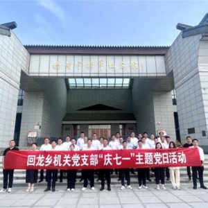 桐柏县回龙乡开展“忠诚担当心向党 砥砺奋进迎七一”主题活动