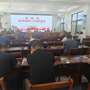 镇平县枣园镇：力推易风移俗 共绘乡村振兴新画卷