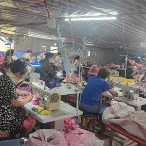 方城县博望镇： 汇聚统战力量 优化营商环境