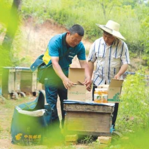 河南南阳：邮政快车助力蜂蜜“走出”大山