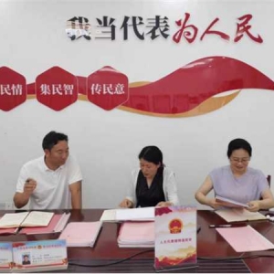 桐柏县人大常委调研回龙乡联络站开展主题活动情况