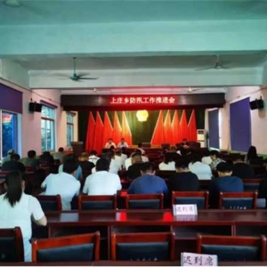 新野县上庄乡：以“迅”应“汛” 筑牢“安全堤”