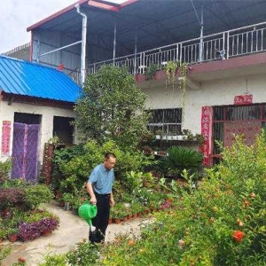 方城县博望镇： 方寸庭院巧利用 美化环境又增收