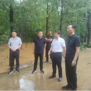 唐河县委副书记李靖到黑龙镇巡林