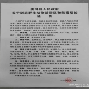 唐河县发布禁猎通告