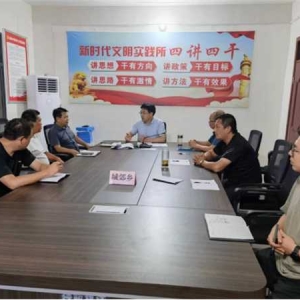 桐柏县城郊乡：筑牢防汛安全堤 人大代表在行动