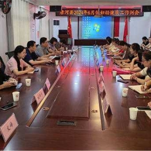 唐河县妇幼保健院召开妇幼健康工作例会
