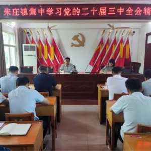 桐柏县朱庄镇集中学习党的二十届三中全会精神