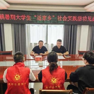 西峡县西坪镇：挺膺担当，青春有我