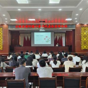 方城县清河镇：弘扬文明新风，开展移风易俗宣传活动