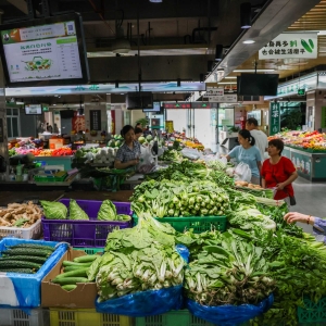 小小菜市场折射民生改革大门道