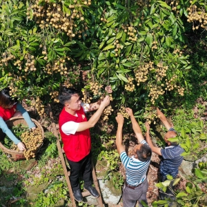 贵州元厚：打造农旅一体化特色种植基地